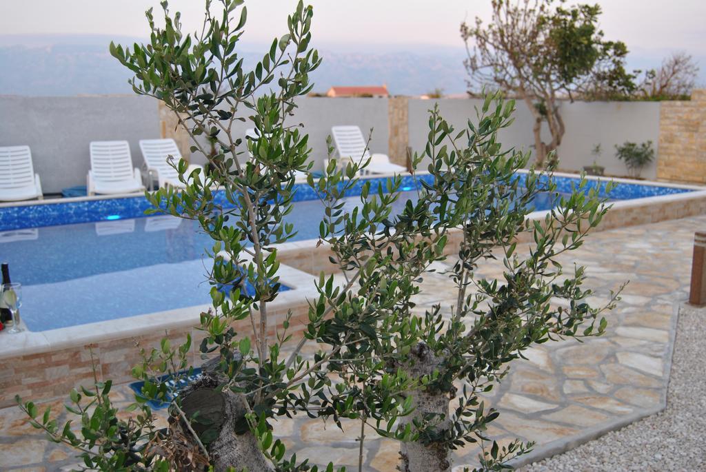 House With Swimming Pool Blue Diamond Apartment Povljana Ngoại thất bức ảnh